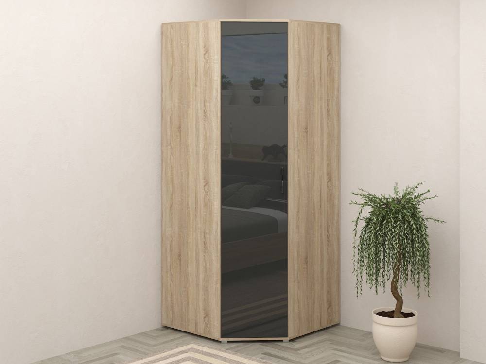 Шкаф угловой СИЛЬВИЯ ШУ(г) фасад глянцевый